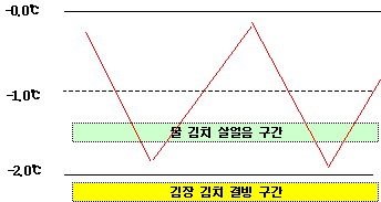 발생 원인 및 물 김치 결빙 온도 그래프