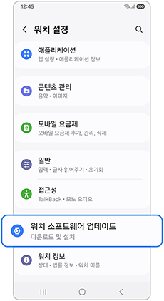 워치 소프트웨어 업데이트를 선택하세요