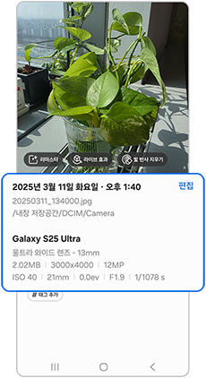 파일 정보가 표시됩니다