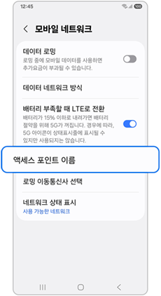 액세스 포인트 이름
