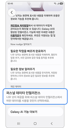 4. 퍼스널 데이터 인텔리전스를 선택하세요