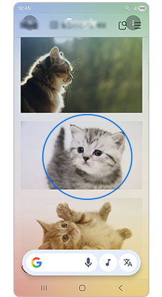 이미지/텍스트 원 그리기    