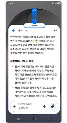 5. 질문에 대한 답변이 표시되며, 추가 질문을 입력해 대화를 이어갈 수 있습니다. Gemini 창 중간 바를 위로 당기면 창이 확장됩니다.
