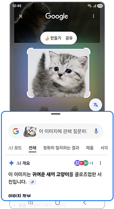 검색 결과 확인