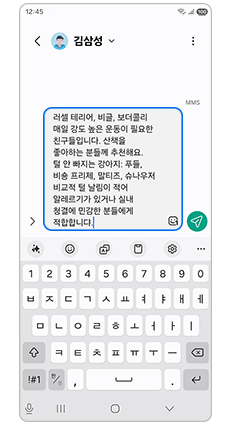 메시지를 작성하세요