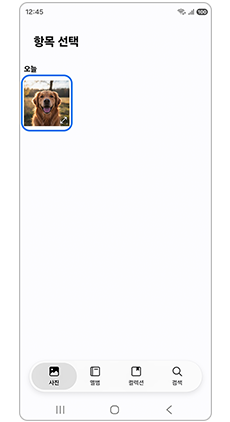 이미지를 선택하세요