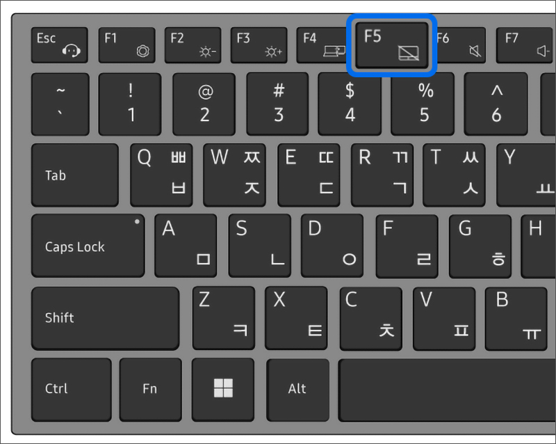 노트북 전원 버튼을 눌러 전원을 켜자마자부터 삼성 로고가 나타나기 전 F5 키를 여러 번 눌렀다 떼었다 하세요
