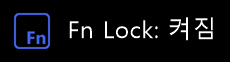Fn Lock 켜짐으로 보이는 화면