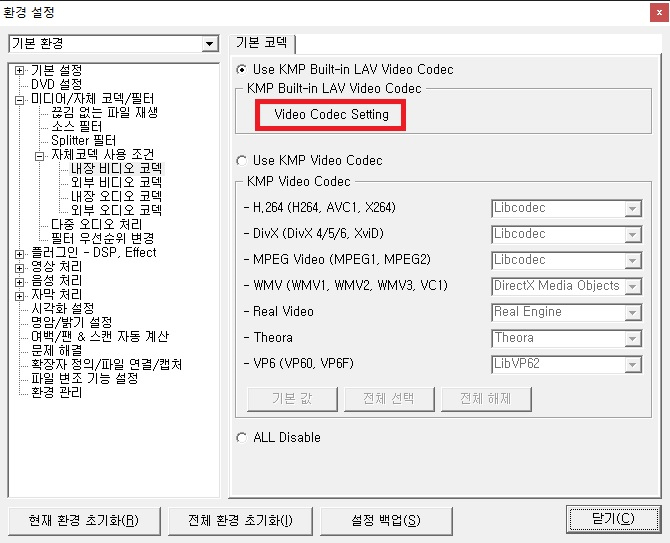 Video Code Setting 찾아 선택