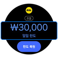일일 한도를 선택하세요