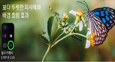 접사카메라 촬영이미지