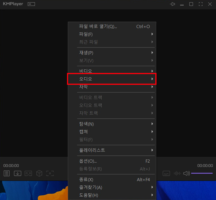메뉴에서 오디오 선택