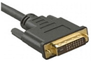 DVI 케이블