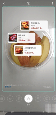 음식 인식
