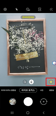 라이브 포커스