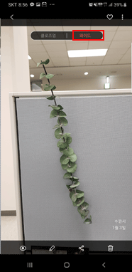 배경 효과 변경 와이드