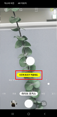 라이브 포커스 (사진에 효과가 적용돼요)