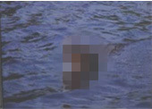 화면에 점(NOISE,노이즈,지저분함,울렁거림) 증상 중 비정상(흐림, 뿌옇게 보임)