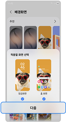 적용할 화면을 선택 후 다음을 눌러주세요