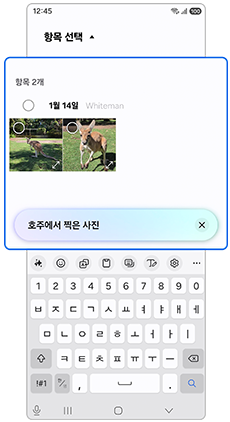 자동 검색된 찍은 사진 확인