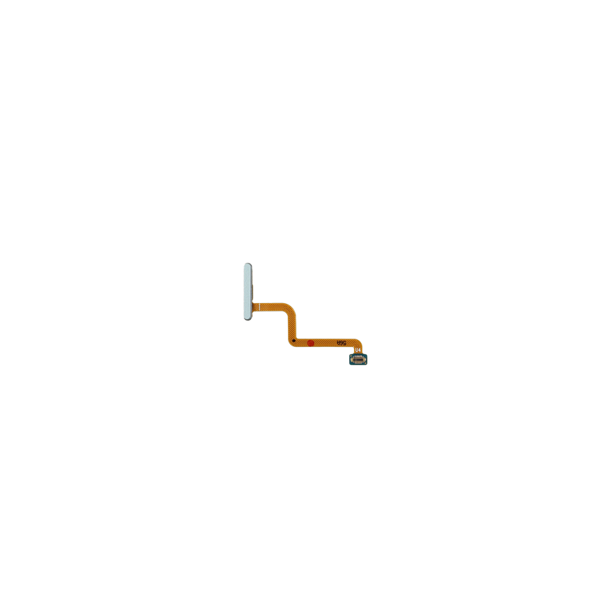 FOLD7 FP KEY_MINT,SELF KIT